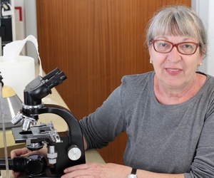 Dr.I. Sohn-Nehls am Mikroskop